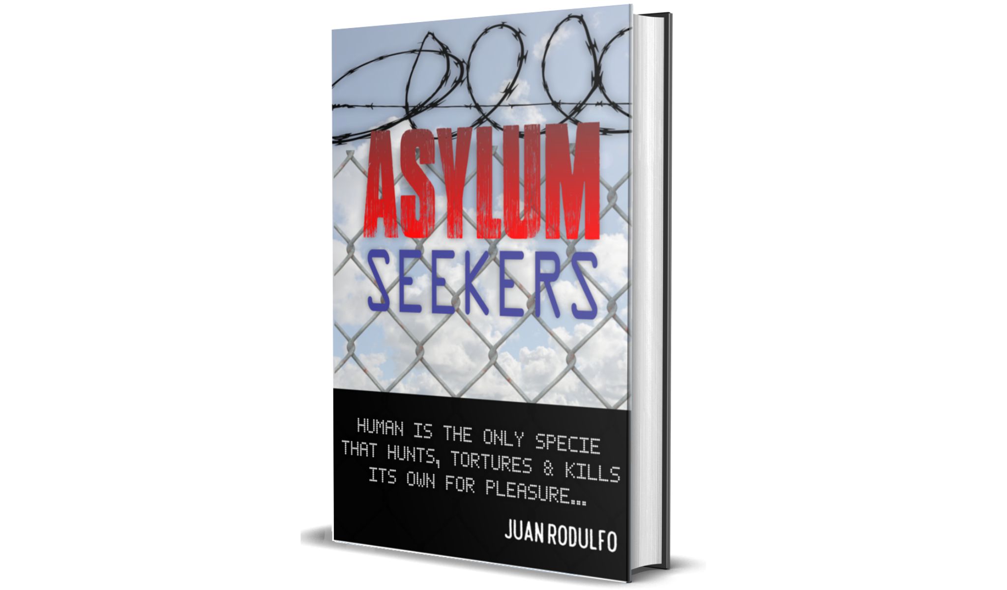 Asylum Seekers by Juan Rodulfo