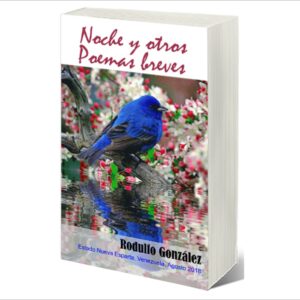 Noche y Otros Poemas Breves por Rodulfo Gonzalez