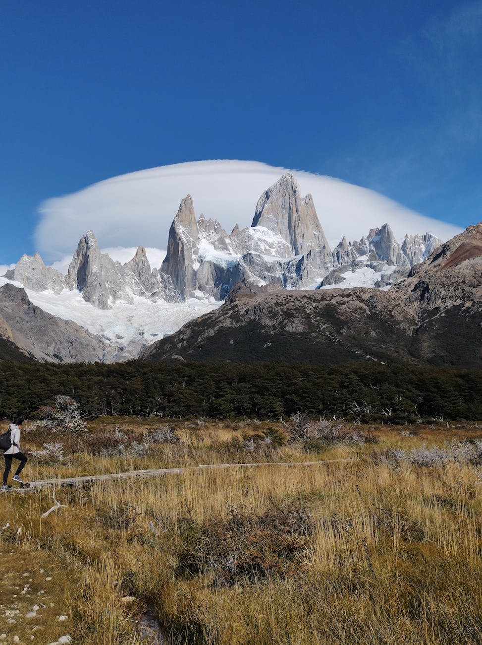 Patagonia, Argentina, adventure, travel, wildlife, landscapes, glaciers, hiking, nature, exploration,