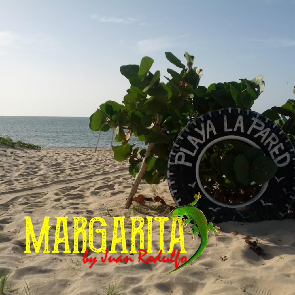 Juan Rodulfo Music, first Music Album, published in 2022, inspired in my home Island Margarita, Venezuela, EDM Style, Made using the App garage of iTunes