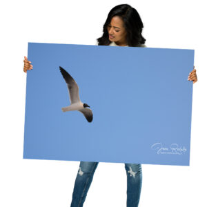 Minimalist gull-in-flight wall art by Juan Rodulfo. Printed on premium 100x70cm matte paper. A serene visual for home or office decor. Flight Over Silence