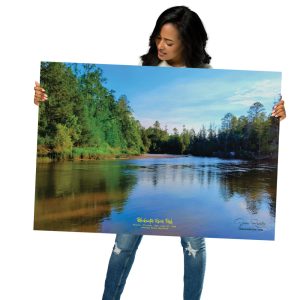 Blackwater River Park | Serene Florida Nature Photography Wall Art Print