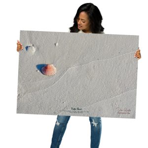 Destin Beach Seashell – Minimalist Coastal Photography Wall Art | White Sand & Shell Decor
