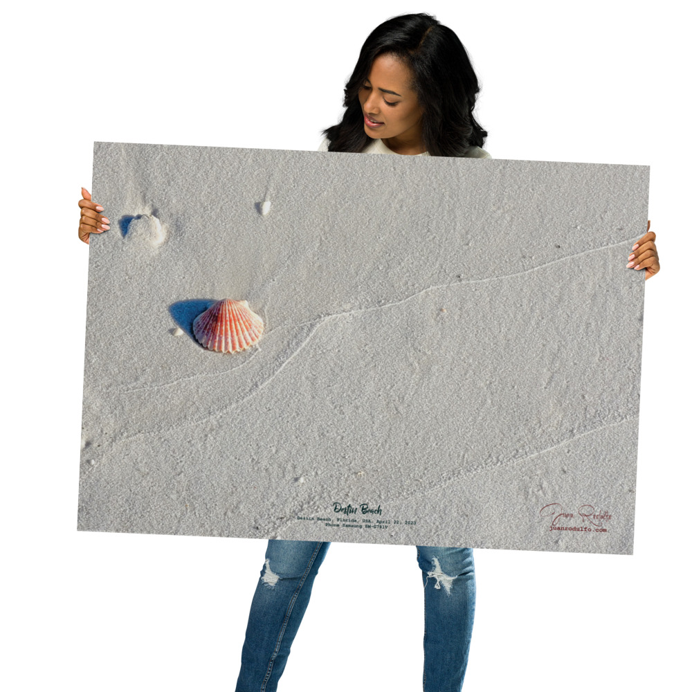 Destin Beach Seashell – Minimalist Coastal Photography Wall Art | White Sand & Shell Decor