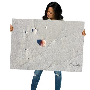 Seashell on Serene Sand – Coastal Wall Art by Juan Rodulfo