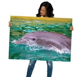 Joyful Dolphin in Turquoise Waters | Vibrant Marine Wildlife Photography Wall Art