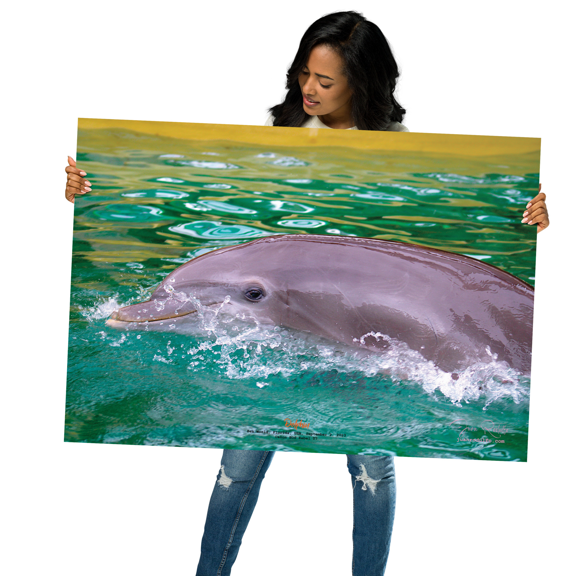 Joyful Dolphin in Turquoise Waters | Vibrant Marine Wildlife Photography Wall Art