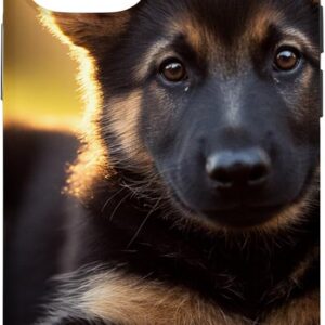 Guaripete Classic Shield Little dogs iPhone Case